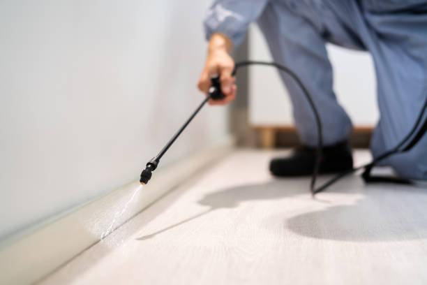 Licensed Cockroach Control service in El Dorado County County, CA - Nex Pest Control